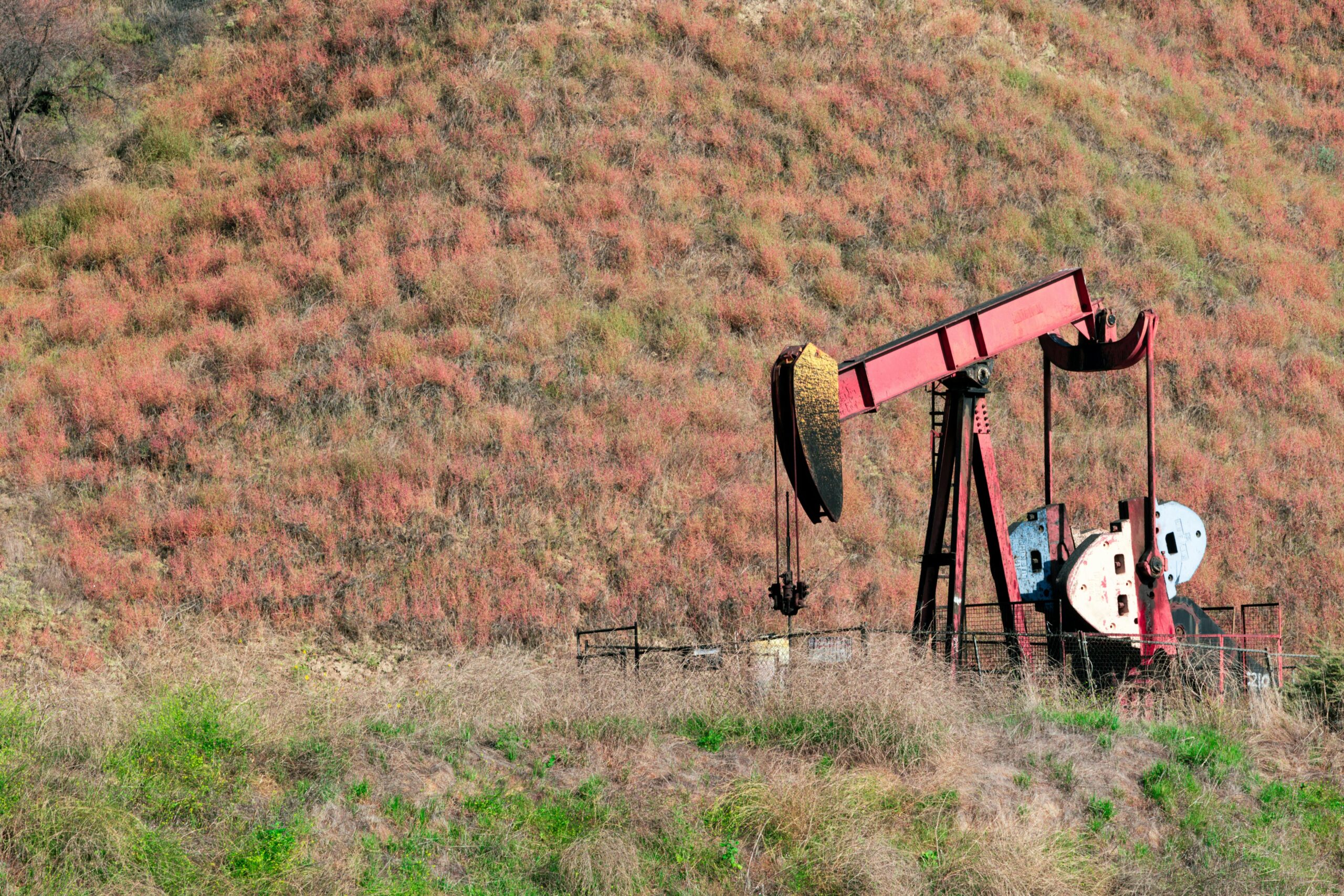 La crisi energetica strangola il Meridione
